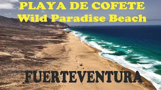 Flight over Fuerteventura's Wild Paradise Beach: Playa de Cofete. Epic Place 4K
