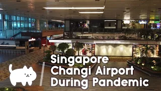 Singapore Changi Airport Beauty & Tranquility in 4K