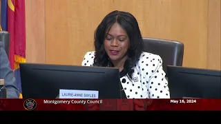 Councilmember Sayles' remarks on the FY25 Budget