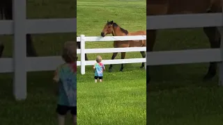 Little kid summons horse herd 😍 #viral #cute #pets #horse