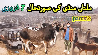 Multan Cow Mandi me Big Heavy Weight Bachroo k rates zeyada Qurbani 2021 k janwar part 2 February 7