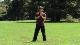 4 Golden Wheels  - amazing energy practice of Qigong healing