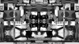 Sean Miland "CHAMPAGNE AND STRYCHNINE" FULL  psych garage freakbeat mod