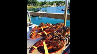 LOBSTERING Thousand Of Ton Everyday By fishermen