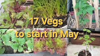 17 Vegetables to Start In May//South Africa Cape Town Garden