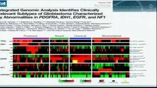 Functionalizing the Cancer Genome - Lynda Chin