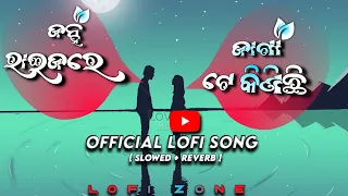 Janha Raijare Jaga Te Kinichi || Odia Lofi Song || [Slowed Reverb] || Odia Romantic Lofi