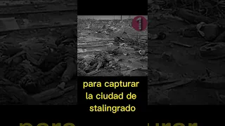 La batalla de Stalingrado -- Vídeo Completo en mi Canal #wwii #historiamilitar #historia #batallas