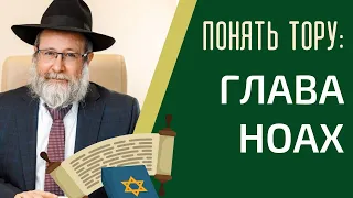 🤔📗 ПОНЯТЬ ТОРУ: Глава Ноах (5783) | Рав Лирон Эдери