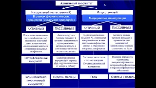 Адаптивный иммунитет. Органы иммунной системы.