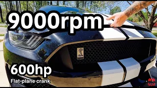 THIS SNAKE BITES - 2019 Shelby GT350 with 600HP that revs to 9000rpm!