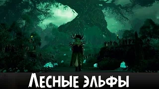 ЛЕСНЫЕ ЭЛЬФЫ - анонсный трейлер на русском | Total War: Warhammer