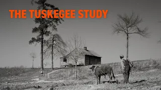 The Tuskegee Study