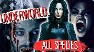 EVERY SINGLE Species From Underworld Explained(All Films & Books)