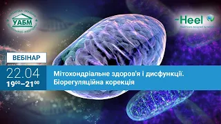 Мітохондріальне здоров'я і дисфункції. Біорегуляційна корекція