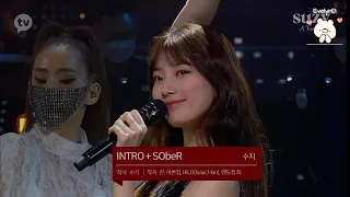 LIVE BAE SUZY CONCERT FAN - INTRO AND SOBER SUZY: A TEMPO