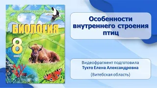 Тип Хордовые. Тема 37. Особенности внутреннего строения птиц