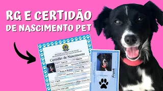 COMO FAZER RG E CERTIDÃO DE NASCIMENTO ANIMAL?