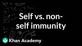 Self vs. non-self immunity | Immune system physiology | NCLEX-RN | Khan Academy