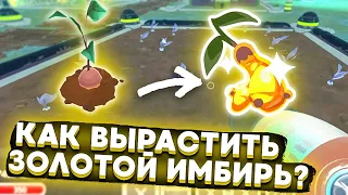 Slime Rancher. КАК ВЫРАСТИТЬ ЗОЛОТИСТЫЙ ИМБИРЬ?! +мод на погоду