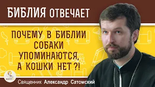 Почему в Библии собаки упоминаются, а кошки нет ?!  Священник Александр Сатомский