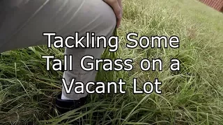 Tall Grass, Overgrown Lot: Time Lapse Lawn Mowing
