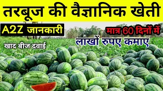 Tarbooj ki kheti | Watermelon farming | तरबूज की खेती | वैज्ञानिक खेती | tarbuje ki kheti kaise kare