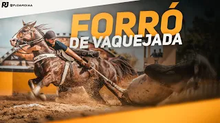 FORRÓ DE VAQUEJADA - SELEÇÃO ESPECIAL PARA RELEMBRAR