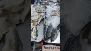 Рыбные Прилавки в Городе Находка. Ханка, пресноводный водоём на границе с Китаем.