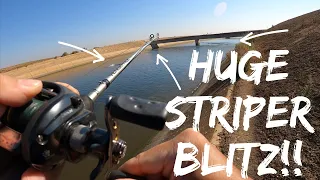 I Caught My Biggest Striper Again!! | Huge Striper Boil!! | CA Aqueduct Fishing | Iu Mien Fishing