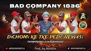 BAD COMPANY 1836 _ DICHOMI KE TXE PEDI [NEW 45]