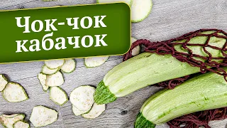 2 простых и вкусных рецепта из КАБАЧКА для сушилки/дегидратора Ezidri. Заготовки на зиму от ЭкоСнеки