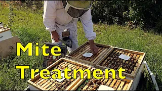 Mite Treatment 2023