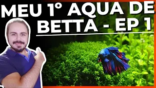 🔴MEU PRIMEIRO AQUÁRIO DE BETTA - EP 01: AQUÁRIO E ACESSÓRIOS NECESSÁRIOS |Mr. Betta|
