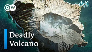 Who is responsible for New Zealand’s dead volcano tourists? | DW News