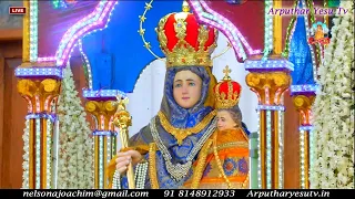 🔴LIVE 20th May 2021 Car Procession & Mass @ 5:45PM Our Lady of Health Vailankanni, Nagapattinam