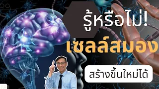 ผู้ป่วยโรคสมองเฮ! เซลล์สมองสามารถงอกใหม่ได้!