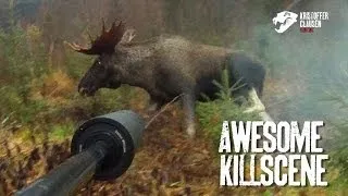20 tagger elgokse skutt på 7 meters hold. Awesome killscene on huge moose.