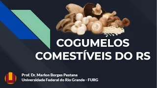 COGUMELOS COMESTÍVEIS DO RS