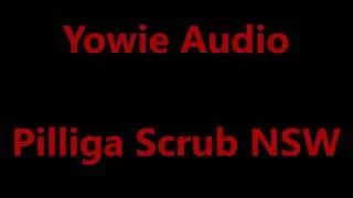 Yowie Audio Pilliga Scrub NSW