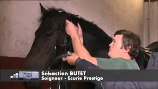 C'est pas sorcier -Le Cadre Noir : les sorciers montent sur leurs grands chevaux