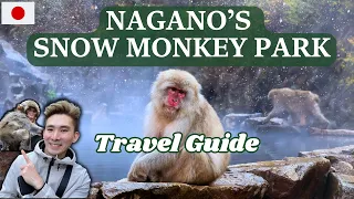Japanese Snow Monkey Park | Winter Trip to Nagano Japan | How to get here and where to stay?