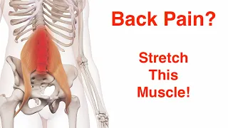 No More Back pain with the Psoas muscle stretch