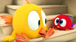 Where's Chicky? Chicky and Poyo on vacation | Cartoon in English for Kids | New episodes
