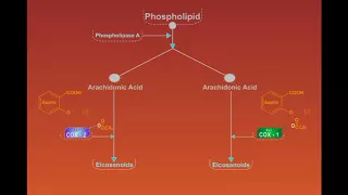 Nonsteroidal Ant Inflammatory Drugs-nsaids