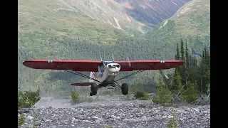 Super Cub, Alaska, Dall Sheep.
