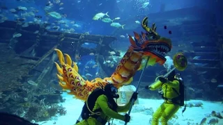 Chinese New Year underwater dragon dance at S.E.A. Aquarium