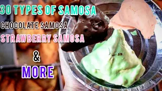 30 type of samosa at Samosa hub krishna nagar east delhi