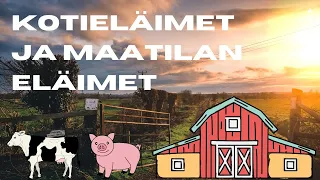 Kotieläimet ja maatilan eläimet // eläinsanastoa