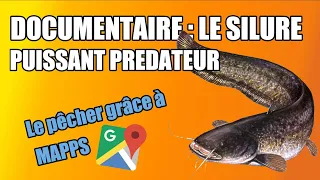 Comment Pêcher le Silure en Période de Crue ? Conseils et explications